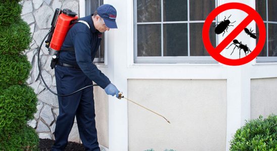 Çakmaklı Tahtakurusu İlaçlama böcek ilaçlama ve haşere kontrolü — ilaclama-tr.com